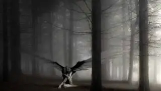 cabellos dorados-angeles del rock