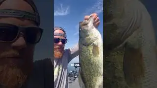Stop Letting the Fishing Industry Decide How Many Bass You Catch