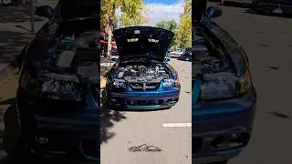 Ford Mustang SVT Cobra Mystichrome 'Terminator