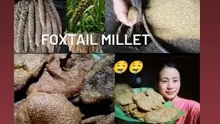 How to make#   Foxtail millet # Biscuit 🤤 🤤 in Naga style .Shelli k vlog 