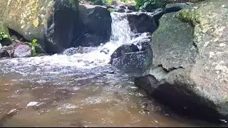 Deep Sleep Relaxation with River Flow(08)