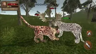 Ultimate Leopard Simulator - Leopard Vs Lion, Tiger, Hyena, Jaguar, Cheetah, Monkey, Crocodile #16