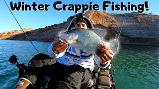 Winter Crappie Fishing! Lake Mead January 2022