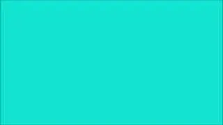 Dark turquoise  Screen 10 hours  [ white & color screen