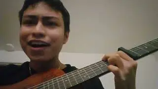 Bye Bye Baby (Taylor's Version) (From The Vault) by Taylor Swift - Guitar cover