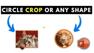 How to Crop a Picture into a Circle or any Shape in Microsoft PowerPoint