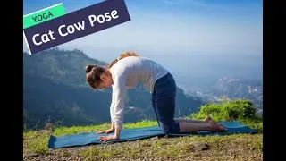 Pregnancy Fitness - Cat Cow and its variation