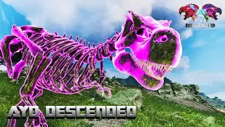 BALIK LAGI KE MOD BRUTAL INI - NEW ARK DESCENDED
