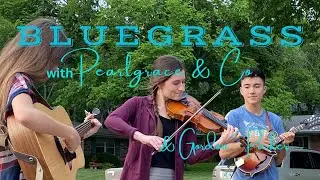 🔥Orange Blossom Special |  Pearlgrace & Co. with Gordon Parker #bluegrass #bluegrassfiddle