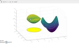 Joanie Thompson and Nitika Sood - Video on the Hyperbolic Plane