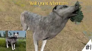 The Rise of a New WOLF?! -Wolf Quest Adventures: ep1