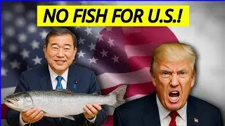 BREAKING! US Fish Crisis: Japan Imposes 300% Tariff on Tuna for America!