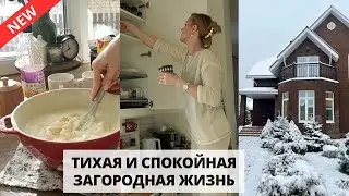 🥞 ТОНКОСТИ БЛИНОВ| сколько стоило лечение котика, уборка и организация на кухне, заготовки
