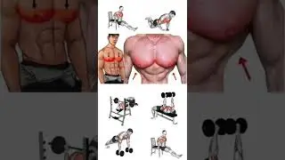 как накачать грудные мышцы мышцы груди