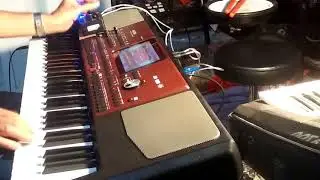 Korg Pa700 -Rumba kh&ocirc;ng Sample