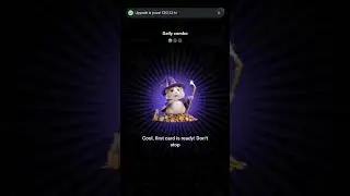 6 September Hamster 🐹 combat Card