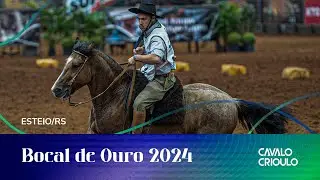 Bocal de Ouro 2024 – Fase Final – Fêmeas e Machos – 20/04/2024