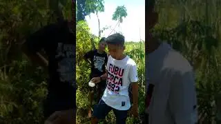Young buko for the Millinials