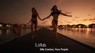 Billy Esteban, Nora Projekt - Lotus