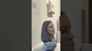 Chicago Sculptors Group Exhibition #chicagoart #finearts #shortvideo #sculpture #arts