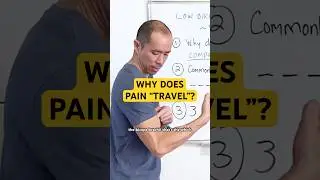 Why Does Pain 