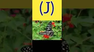 (j) name wale log kaise hote hai