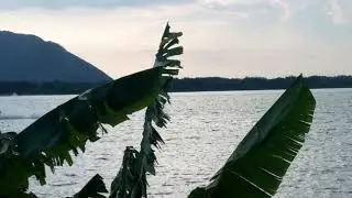 Boat race  Amaravati