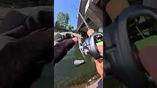 How to Catch Fish Easily &mdash; Simple Method That Works! #fishing #handfish #fishingequipment