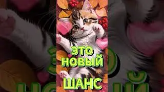 ДОБРОЕ УТРО 😊 Чудесного Тебе ДНЯ