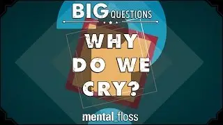 Why do we cry?  - Big Questions - (Ep. 202) | Mental Floss