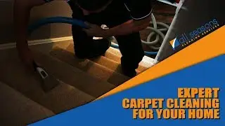 All Seasons Cleaning Services - (Carpet Cleaning Reviews in Farnham)