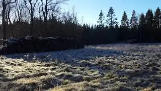 Vestskoven