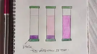 পানিতে KMno4 এর ব্যাপন || রসায়নবিজ্ঞান প্র্যাকটিক্যাল || Diffusion of KMno4 in water