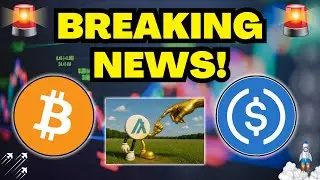BREAKING NEWS: Algorand Binance Staking Launch, Shopify Adopts Base USDC, and Coinbase MiCA License