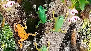 Aprenda a fazer sapo de cimento do jeito mais fácil que existe