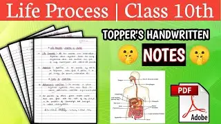 Life Process Notes Class 10th | NCERT Science Chapter 6 Biology | #Notes handwritten #handwritten |