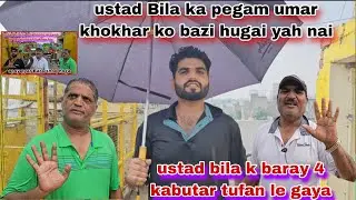 Ustad Bila ny umar khokhar ko pegam deya bazi hugai yaha nai😯4 baray kabutar chaly gaya