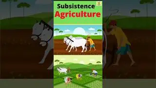 Meaning of Subsistence Agriculture | Two types of Subsistence Agriculture #shorts #geography #upsc