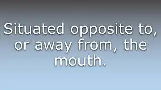 What does Aboral mean?