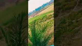 #trending #train #travel #shortvideo#viralvideo #2025