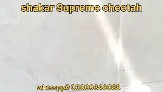 Shakar premium quality Supreme cheetah|| White Marble || #marble #construction #ماربل