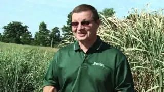 Using Marginal Land to Grow Bio-Fuel Crops