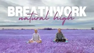 Guided Breathwork Journey | DMT + Alkaline + Breath of Fire ⚡️
