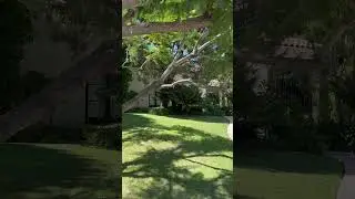 The Hidden Mission Revival Style Home in LA(4)