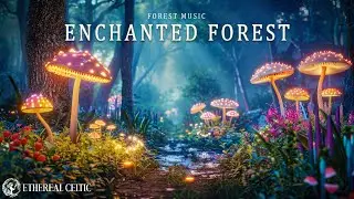 Enchanted Forest Ambience | Magical Forest Music I Relax, Sleep, Healing With Fairy Melodies
