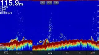 Marking a Waypoint on a Sonar Screen - Garmin