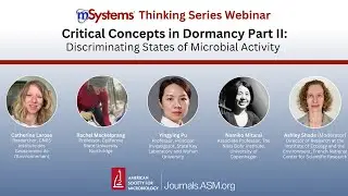 Critical Concepts in Dormancy Part II: Discriminating States of Microbial Activity