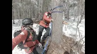 Pleasant Mountain Ski Patrol - Low Angle Rescue Training 1