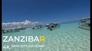 Mnemba Island Zanzibar - DOLPHINS TOUR