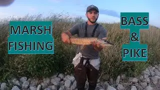 METZGERS MARSH Fishing for TANK BASS and PIKE